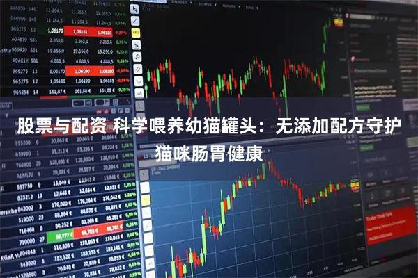 股票与配资 科学喂养幼猫罐头：无添加配方守护猫咪肠胃健康
