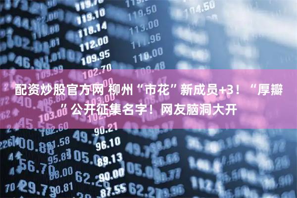 配资炒股官方网 柳州“市花”新成员+3！“厚瓣”公开征集名字！网友脑洞大开