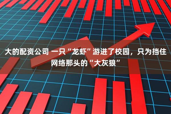 大的配资公司 一只“龙虾”游进了校园，只为挡住网络那头的“大灰狼”