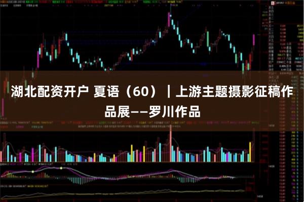 湖北配资开户 夏语（60）｜上游主题摄影征稿作品展——罗川作品