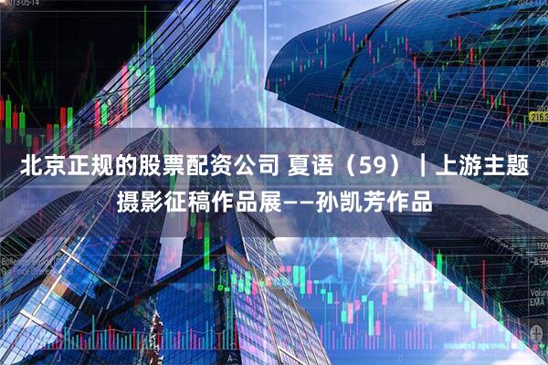 北京正规的股票配资公司 夏语（59）｜上游主题摄影征稿作品展——孙凯芳作品
